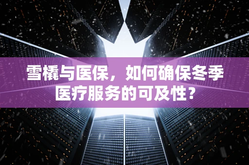 雪橇与医保，如何确保冬季医疗服务的可及性？