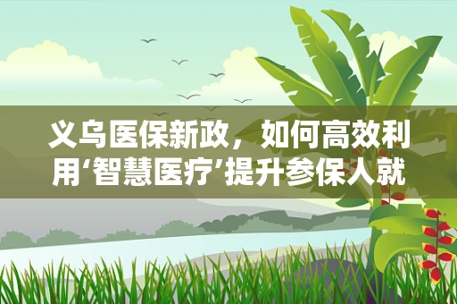 义乌医保新政，如何高效利用‘智慧医疗’提升参保人就医体验？