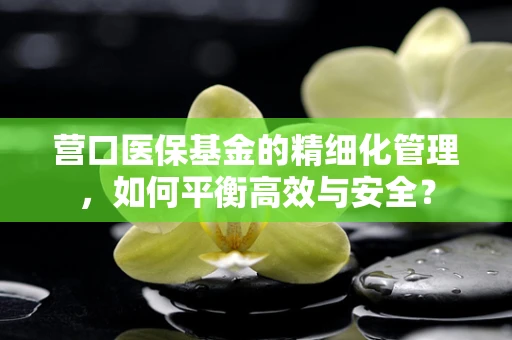 营口医保基金的精细化管理，如何平衡高效与安全？