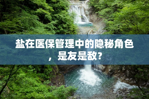 盐在医保管理中的隐秘角色，是友是敌？