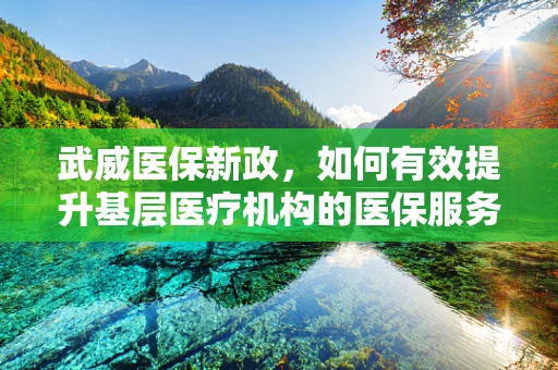 武威医保新政，如何有效提升基层医疗机构的医保服务？