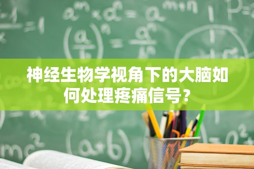 神经生物学视角下的大脑如何处理疼痛信号？