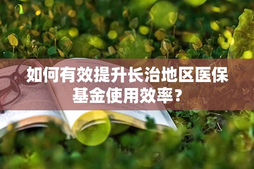 如何有效提升长治地区医保基金使用效率？