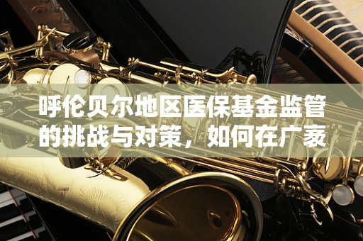 呼伦贝尔地区医保基金监管的挑战与对策，如何在广袤草原上织牢安全网？