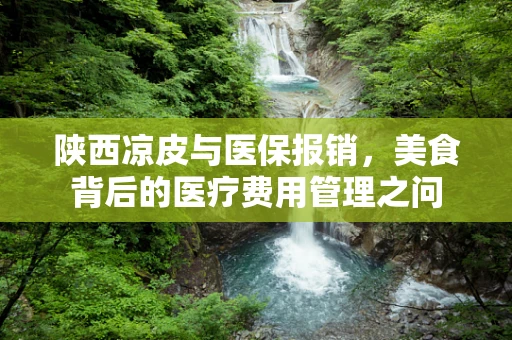 陕西凉皮与医保报销，美食背后的医疗费用管理之问