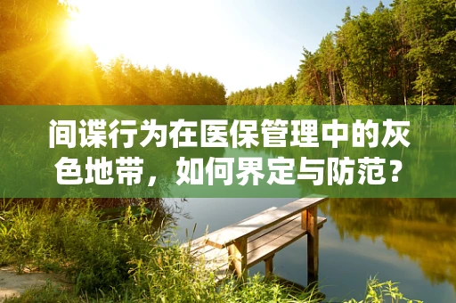 间谍行为在医保管理中的灰色地带，如何界定与防范？