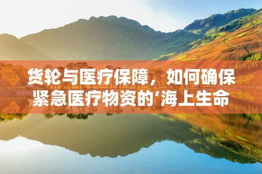 货轮与医疗保障，如何确保紧急医疗物资的‘海上生命线’畅通无阻？