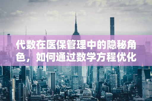 代数在医保管理中的隐秘角色，如何通过数学方程优化资源分配？