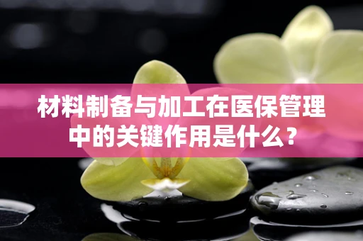 材料制备与加工在医保管理中的关键作用是什么？