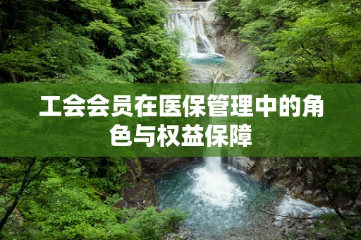 工会会员在医保管理中的角色与权益保障