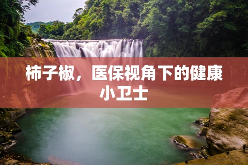 柿子椒，医保视角下的健康小卫士