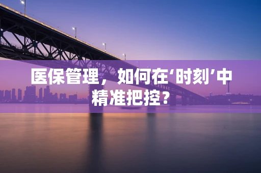 医保管理，如何在‘时刻’中精准把控？