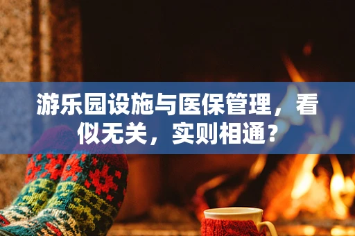 游乐园设施与医保管理，看似无关，实则相通？