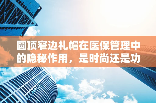 圆顶窄边礼帽在医保管理中的隐秘作用，是时尚还是功能？