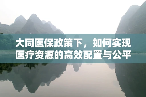 大同医保政策下，如何实现医疗资源的高效配置与公平共享？