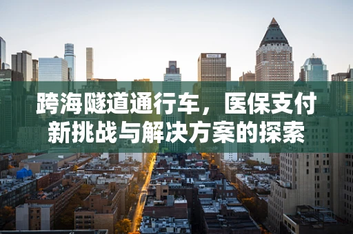 跨海隧道通行车，医保支付新挑战与解决方案的探索