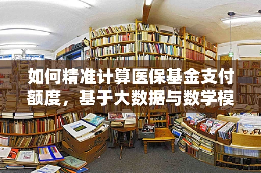 如何精准计算医保基金支付额度，基于大数据与数学模型的探索？