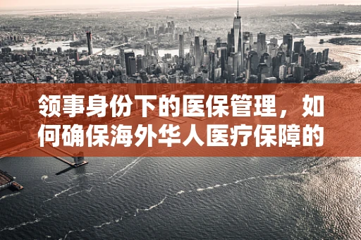 领事身份下的医保管理，如何确保海外华人医疗保障的精准与高效？