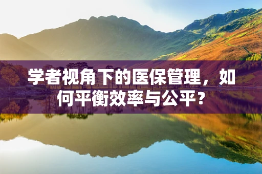 学者视角下的医保管理，如何平衡效率与公平？