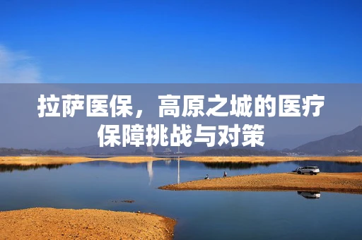 拉萨医保，高原之城的医疗保障挑战与对策