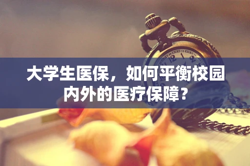 大学生医保，如何平衡校园内外的医疗保障？