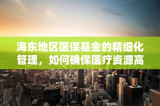 海东地区医保基金的精细化管理，如何确保医疗资源高效利用？
