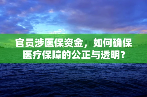 官员涉医保资金，如何确保医疗保障的公正与透明？