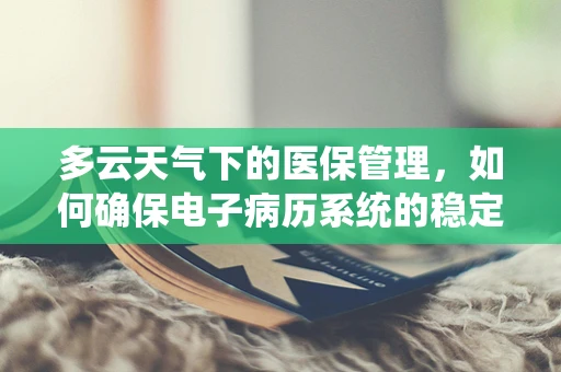 多云天气下的医保管理，如何确保电子病历系统的稳定与安全？
