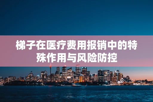 梯子在医疗费用报销中的特殊作用与风险防控