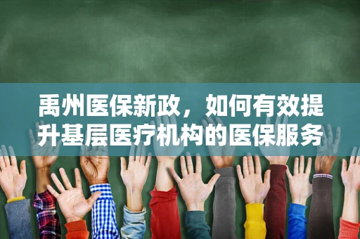 禹州医保新政，如何有效提升基层医疗机构的医保服务效率？