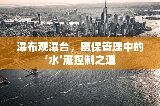 瀑布观瀑台，医保管理中的‘水’流控制之道