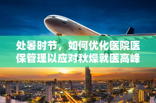 处暑时节，如何优化医院医保管理以应对秋燥就医高峰？