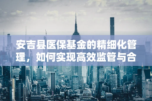 安吉县医保基金的精细化管理，如何实现高效监管与合理使用？