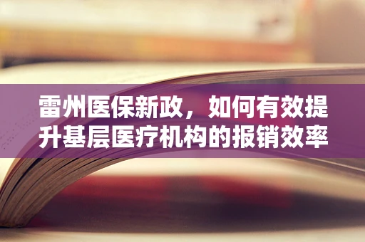 雷州医保新政，如何有效提升基层医疗机构的报销效率？