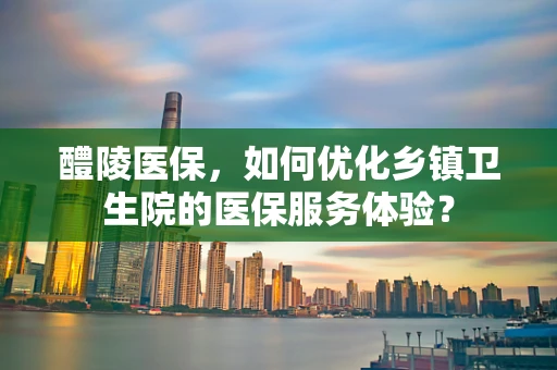 醴陵医保，如何优化乡镇卫生院的医保服务体验？