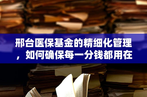 邢台医保基金的精细化管理，如何确保每一分钱都用在刀刃上？