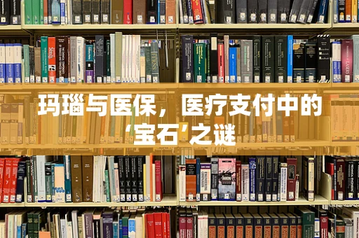玛瑙与医保，医疗支付中的‘宝石’之谜