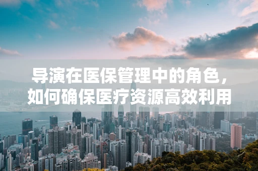 导演在医保管理中的角色，如何确保医疗资源高效利用？