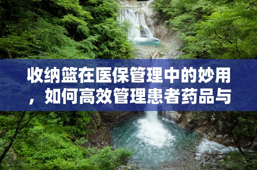 收纳篮在医保管理中的妙用，如何高效管理患者药品与资料？