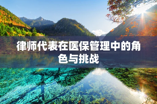 律师代表在医保管理中的角色与挑战