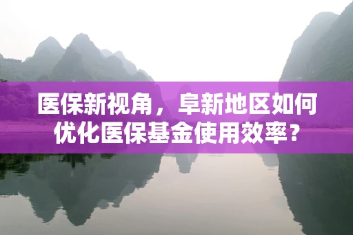 医保新视角，阜新地区如何优化医保基金使用效率？