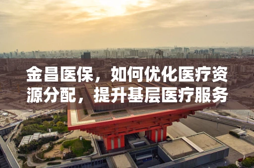 金昌医保，如何优化医疗资源分配，提升基层医疗服务质量？