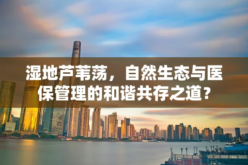 湿地芦苇荡，自然生态与医保管理的和谐共存之道？
