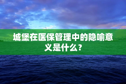 城堡在医保管理中的隐喻意义是什么？