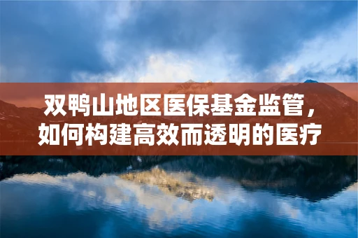 双鸭山地区医保基金监管，如何构建高效而透明的医疗保障体系？