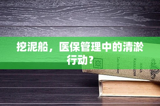 挖泥船，医保管理中的清淤行动？