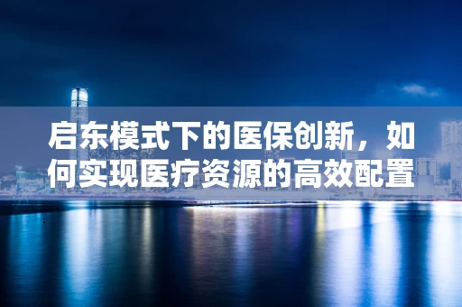 启东模式下的医保创新，如何实现医疗资源的高效配置与患者福利最大化？