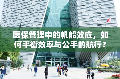 医保管理中的帆船效应，如何平衡效率与公平的航行？