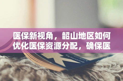 医保新视角，韶山地区如何优化医保资源分配，确保医疗服务的公平与效率？