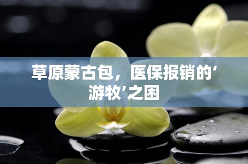 草原蒙古包，医保报销的‘游牧’之困